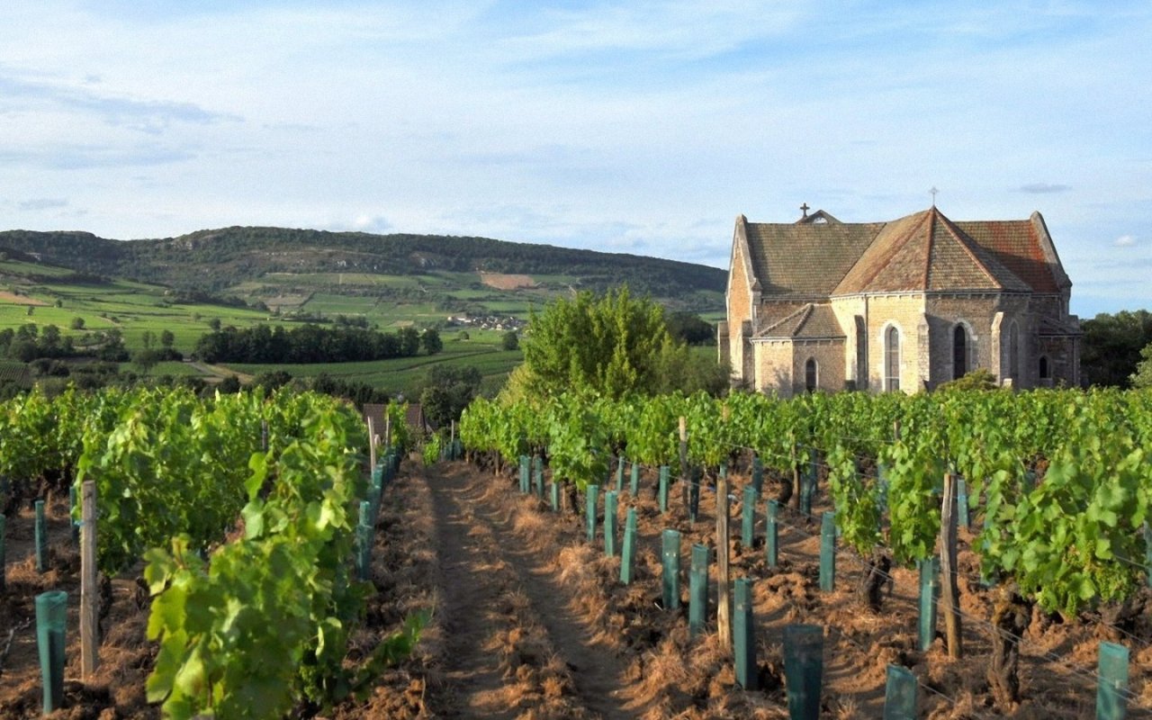 Notre sélection Les Larmes du vin — free download
